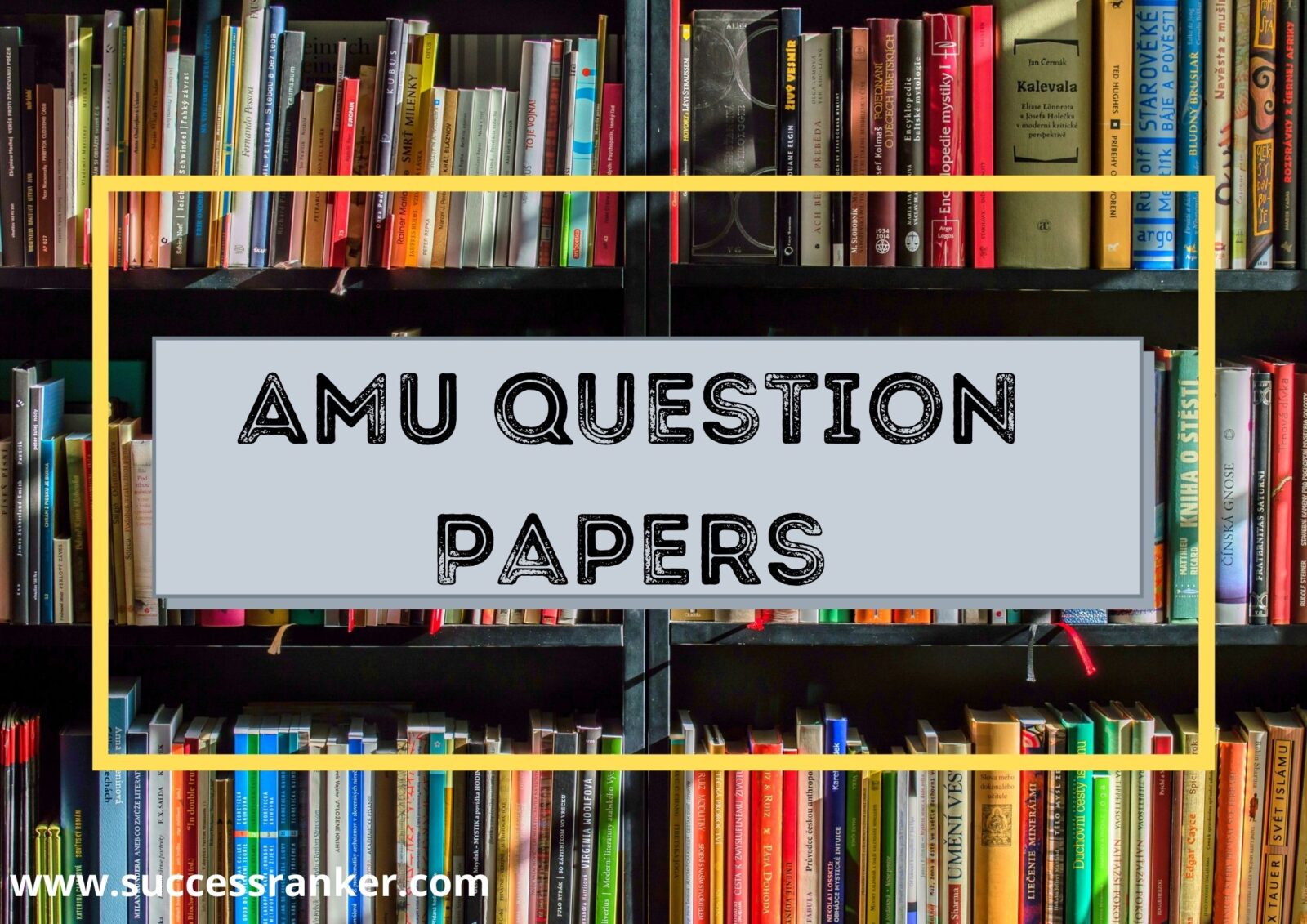 AMU Question Papers